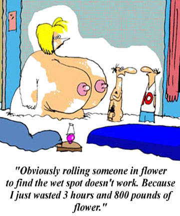 Toon of the Day